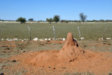 Termite mound, Farm Olifantwater West