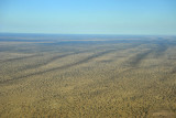 Western Kahahari, Namibia