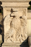 Eagle - Villa Borghese