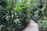 Walking path, Singapore Botanical Gardens