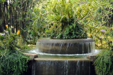 Fountain, National Orchid Garden