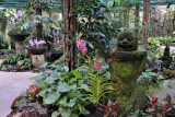 Moss covered statue in the Mist House, National Orchid Garden