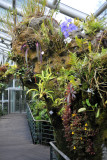 Cool House, National Orchid Garden