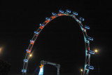 The Singapore Flyer at night
