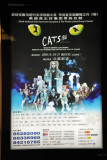 Poster for Cats in China