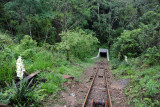 The tracks are 315m long and descend to a depth of 120m