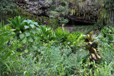 Fern Grotto - Wailua River State Park, Kauai