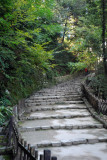 Pathway, Hikone Castle