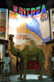 Eritrea - Africa Joint Pavilion