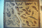 Roman mosaic with fish