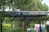 Welcome to London Zoo