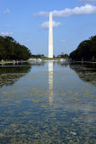 Washington Monument & Reflecting Pool