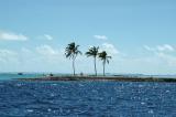 A three palm island in the North Male Atoll