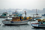 Fishing boats, Alexandria