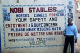 Nobi, the owner of the Arabian Horses Stable
