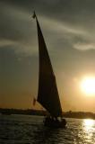 Felucca late afternoon