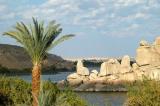 Palm and an outcropping of Aswan granite