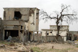 Gulf War damage