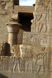 NileFeb06 767.JPG