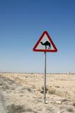 Camel warning sign, Qatar