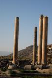 Columns of the Apadana Palace (Central Hall)