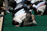 Noontime prayers, Tomb of Sadi