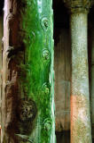 Strange algae covered column