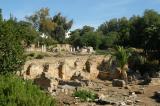 Ruins of Ancient Carthage