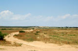 Barren plains surrounding Kairouan, the first settlement founded during the Arab conquest of Tunisia in 670 AD