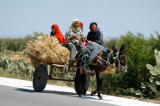 Women riding a donkey cart with hay along the road to Kairouan