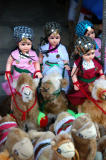 Dolls and toy camels, Kairouan medina