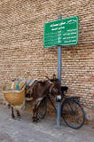 Donkey parked next to the Kasbah
