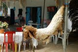 Meat served in rural Tunisian restaurants is VERY fresh