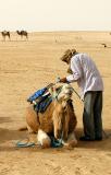 Camel driver and camel