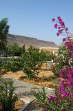 Garden, Hotel Mabrouk