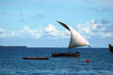 Small dhow under sail arrives at Stone Town Harbor, Zanzibar