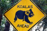 Wildlife sign - Koalas Ahead, Ku-ring-gai Chase National Park