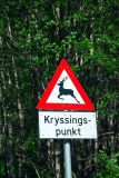 Kryssingspunkt sign