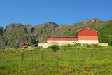 Farm on the steep hillside above Aurland