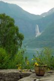 Feigumfossen, Lustrafjorden