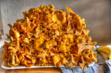 Wild chanterelles, edible gold (1st harvest 2006) (HDR)