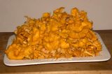 Wild chanterelles (2nd harvest 2006)