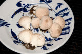 gem-studded puffballs (Lycoperdon perlatum)