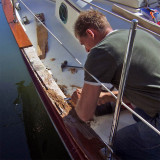 Repairing Cap Rails