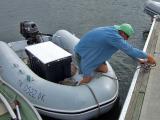 Don coming ashore