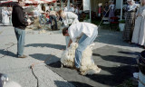 Md Sheep & Wool Festival 2001