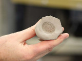 Mold from Button
