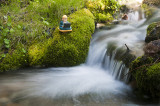 Buddha hacking up Snake Creek I