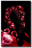 Flamingo with drop shadow