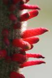 346_4622.jpg